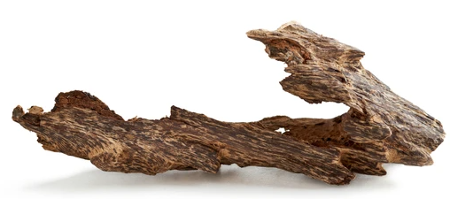 White Oud  Aroma Diffuser Oil 1L Wildflower Essentials