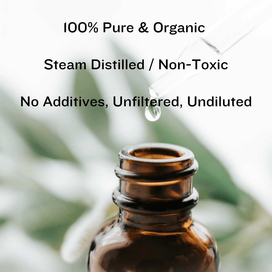 Garlic Essential Oil Wildflower Essentials