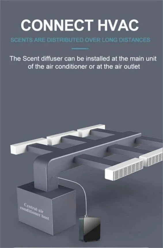 Automatic Scent / Aroma / Fragrance Oil Diffuser Machine - Offices, Halls Wildflower Essentials