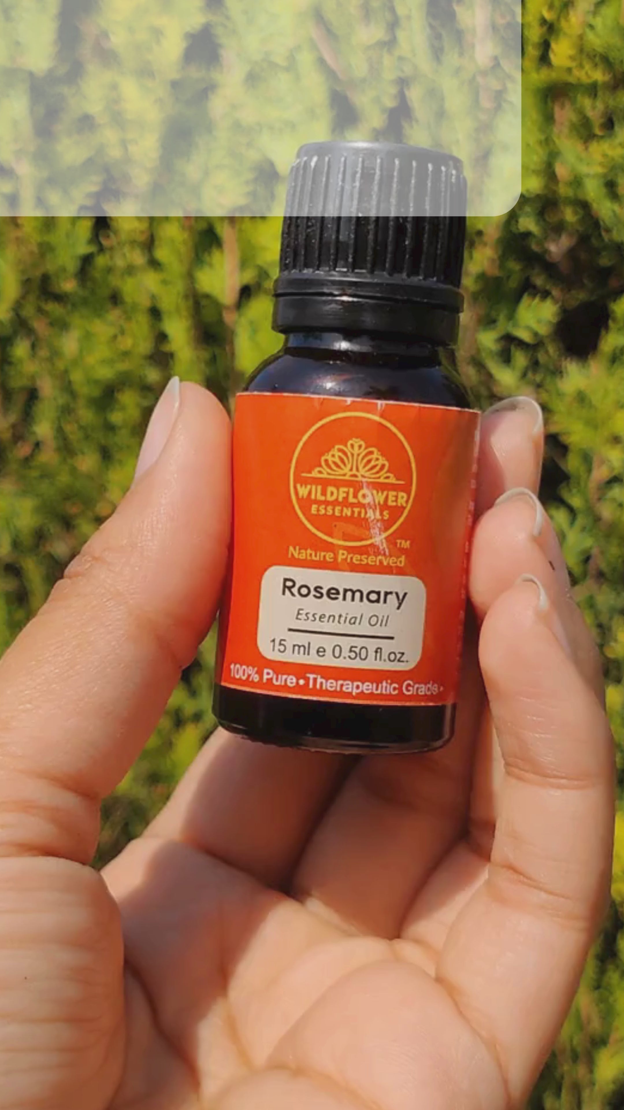 Pumpkin Seed Oil (100ml) + Rosemary Essential Oil (15ml)  Combo