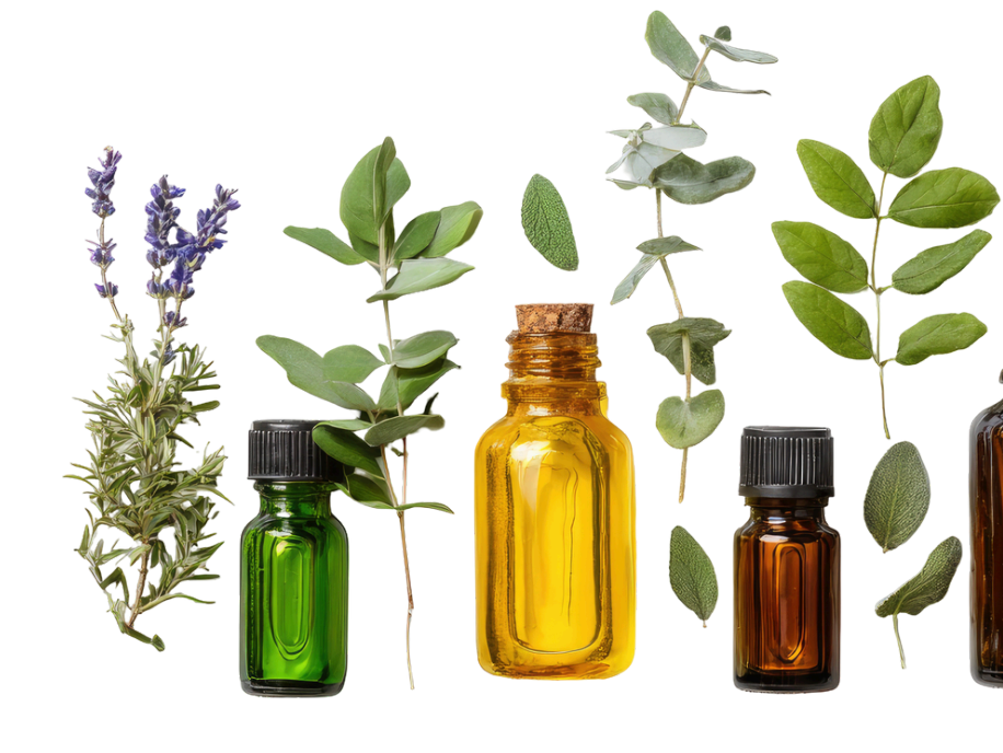 Top 7 Carrier Oils and Their Benefits for Skin & Hair