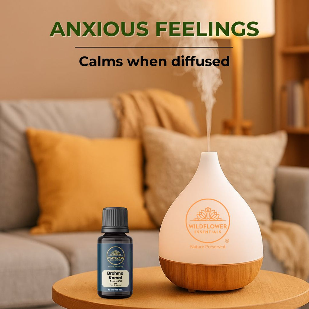 Aroma Diffuser Oil Combo Pack of 6