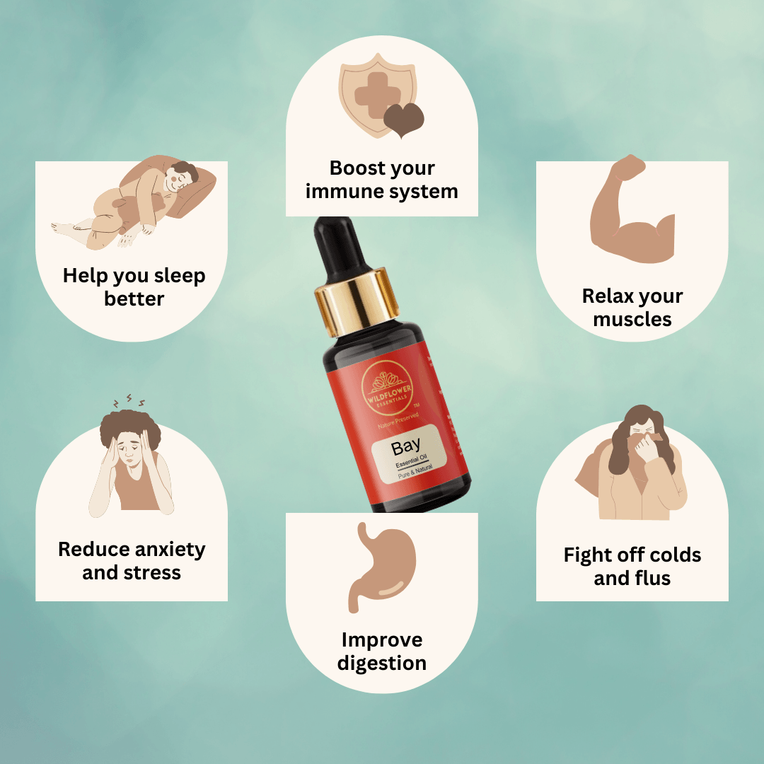 Bay/ Bay Leaf Essential Oil
