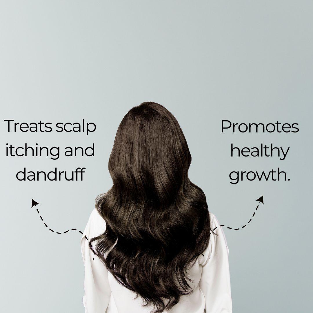 Tea Tree & Rosemary Essential Oil Combo