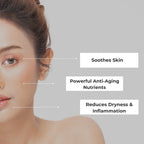 Red Raspberry Seed Oil Wildflower Essentials