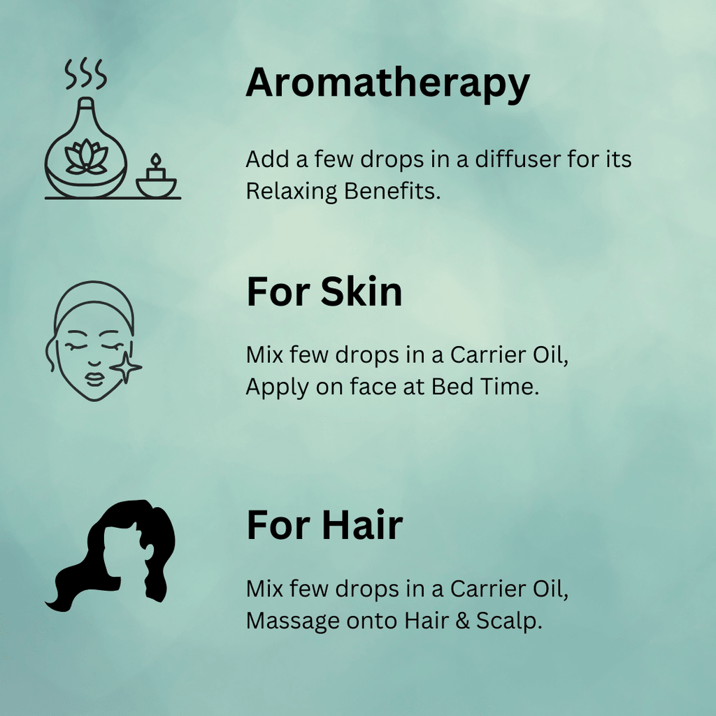 Bay/ Bay Leaf Essential Oil