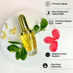 24K Glow & Shine Radiance Elixir Wildflower Essentials