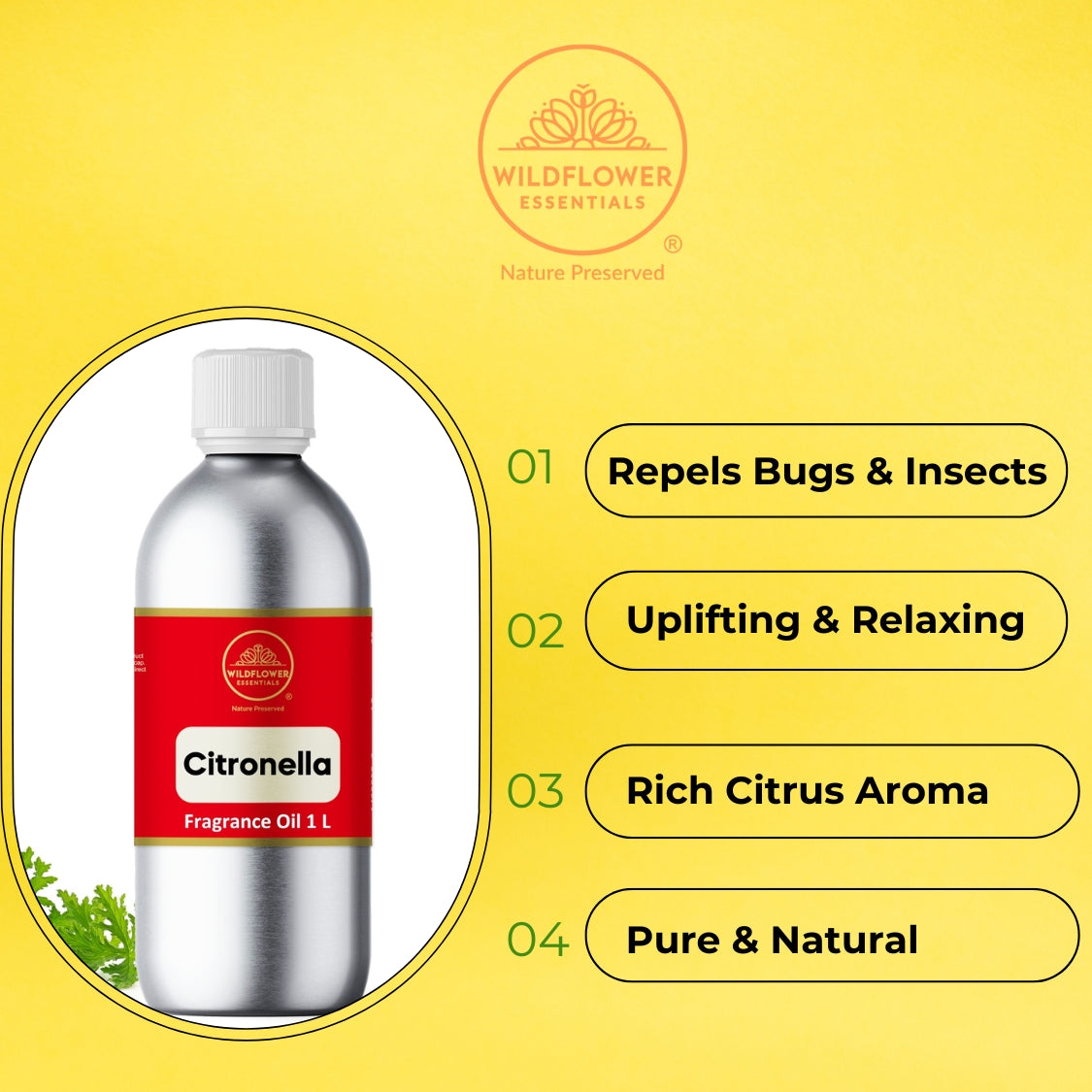 Citronella Fragrance Oil | 1L