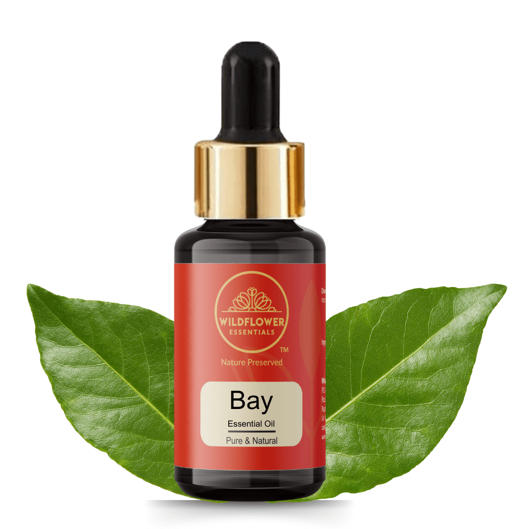 Bay/ Bay Leaf Essential Oil