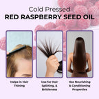 Red Raspberry Seed Oil Wildflower Essentials