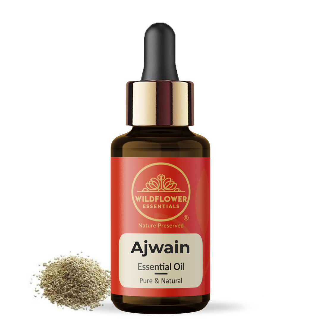 Ajwain Essential Oil Wildflower Essentials