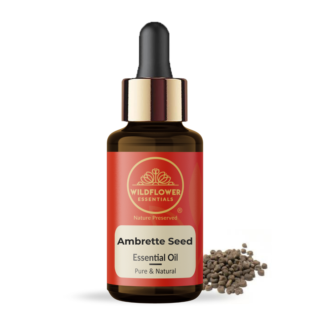 Ambrette Seed Essential Oil Wildflower Essentials