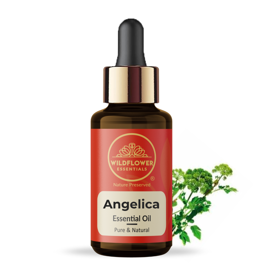 Angelica Essential Oil Wildflower Essentials
