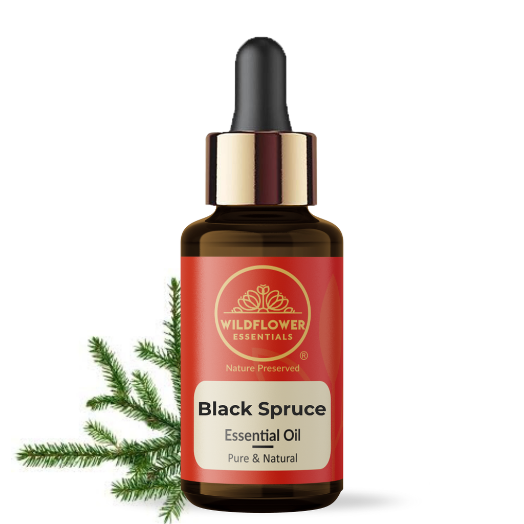 Black Spruce Essential Oil Wildflower Essentials