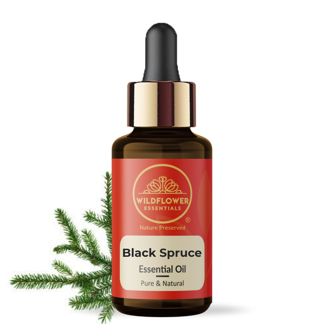 Black Spruce Essential Oil Wildflower Essentials
