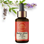 Balm Mint Bush Essential Oil Wildflower Essentials