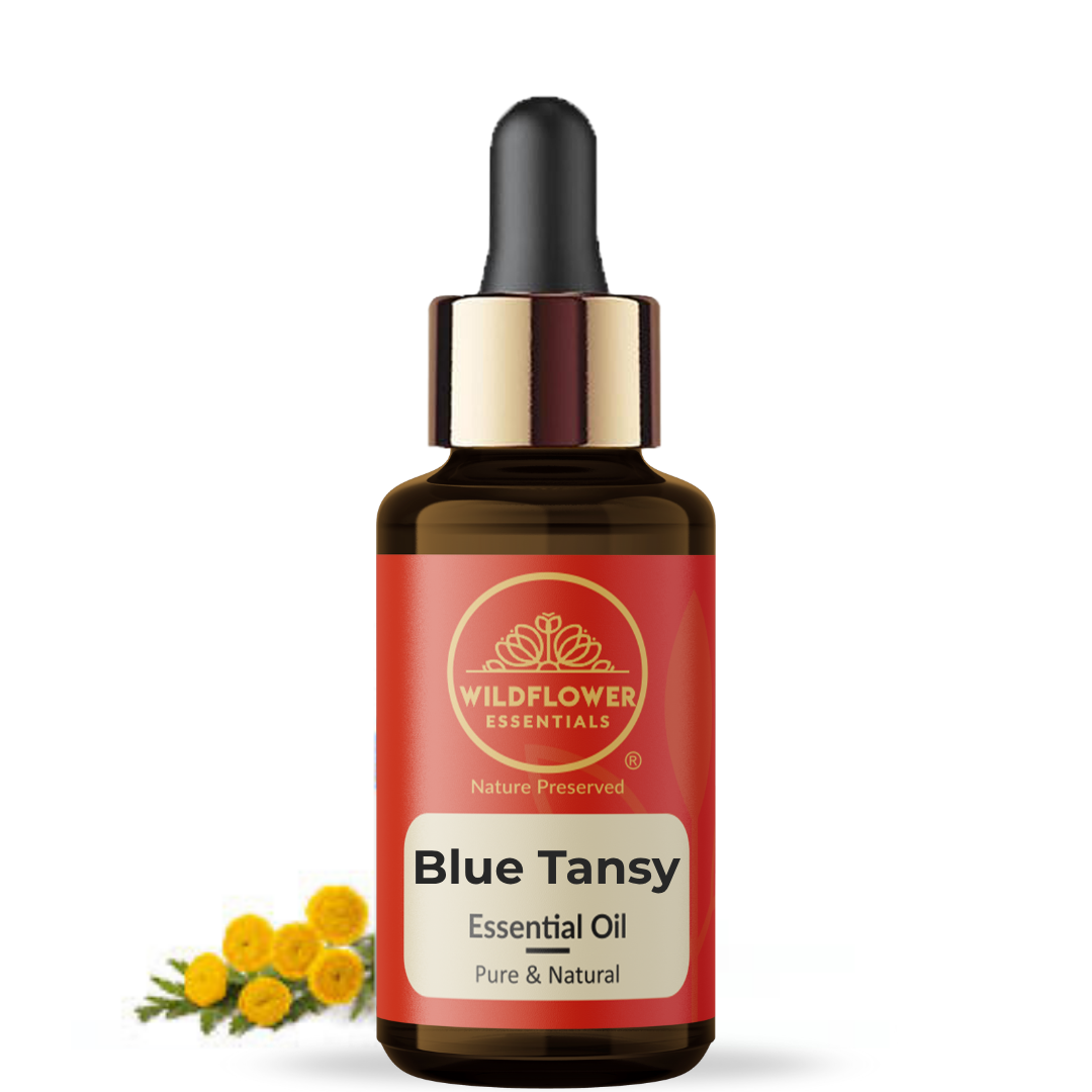 Blue Tansy Essential Oil Wildflower Essentials