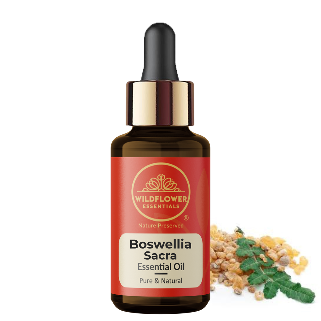Boswellia Sacra (Frankincense) Essential Oil Wildflower Essentials