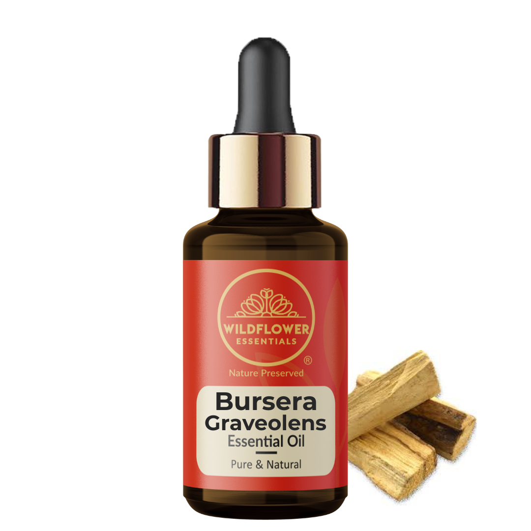 Bursera Graveolens Essential Oil Wildflower Essentials