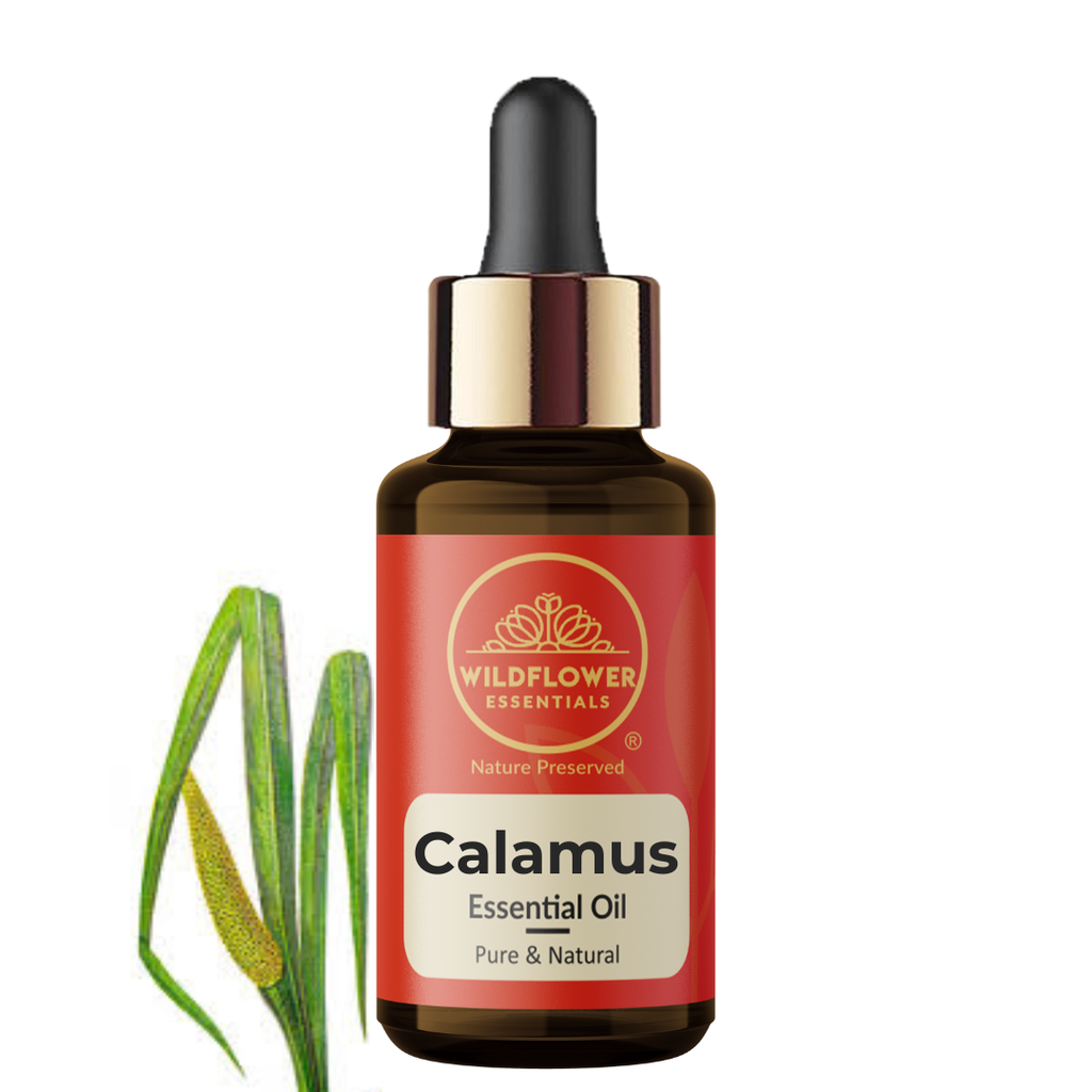 Calamus Essential Oil Wildflower Essentials