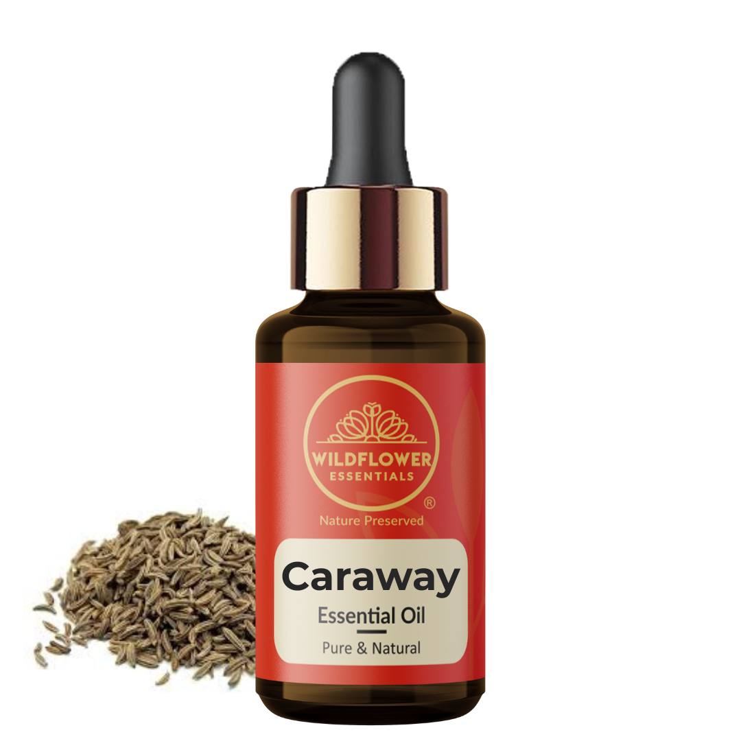 Caraway Essential Oil Wildflower Essentials