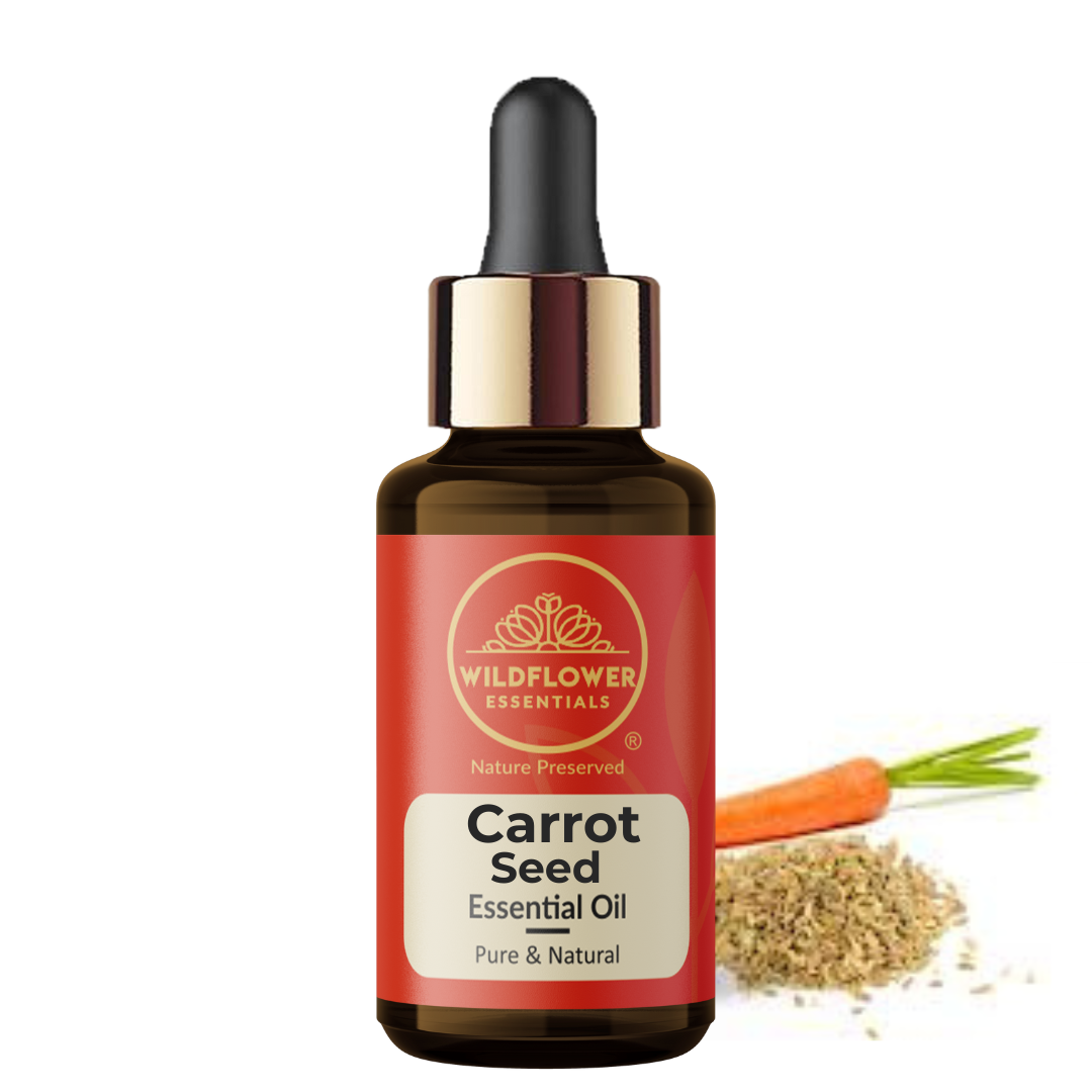 Carrot Seed Essential Oil Wildflower Essentials