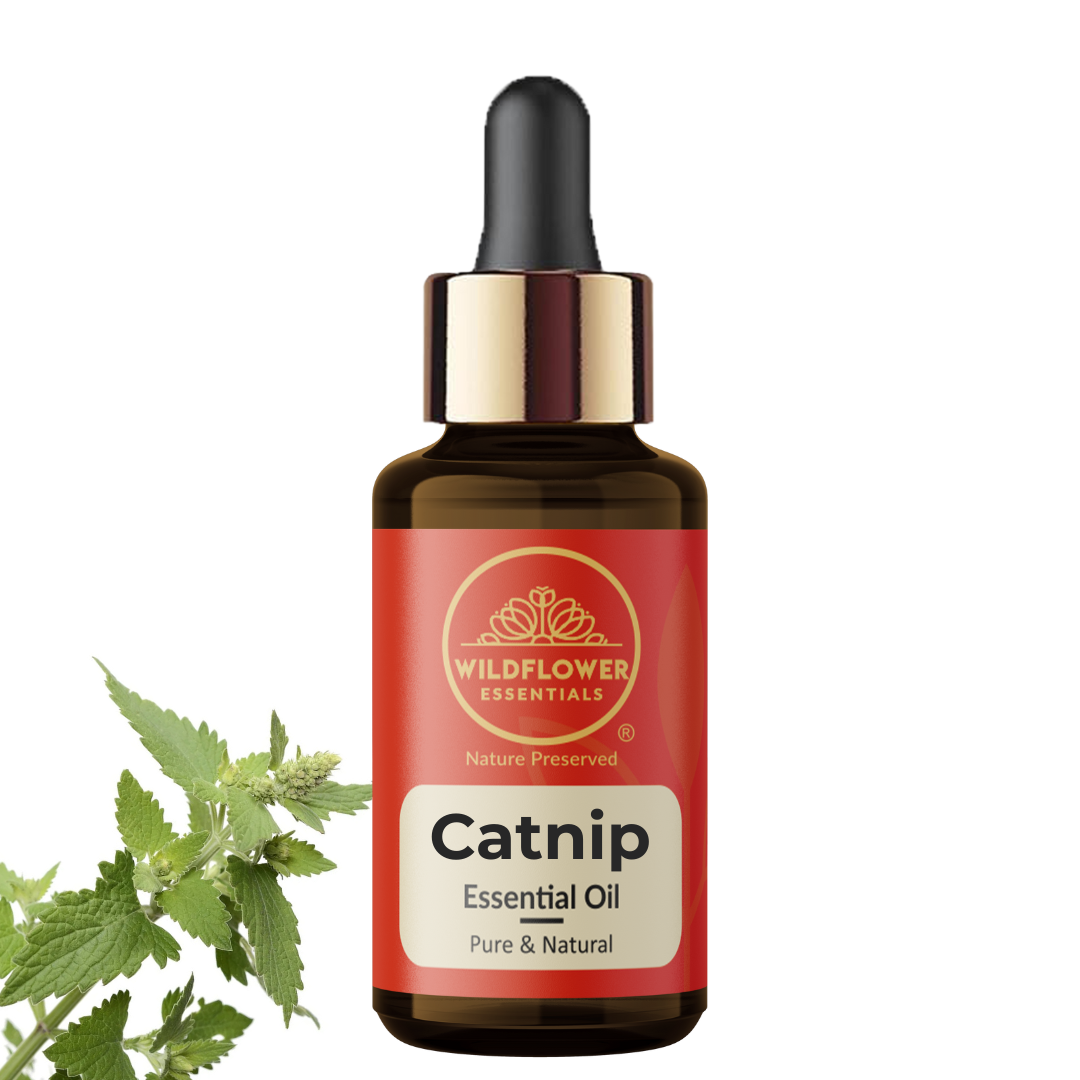 Catnip Essential Oil Wildflower Essentials