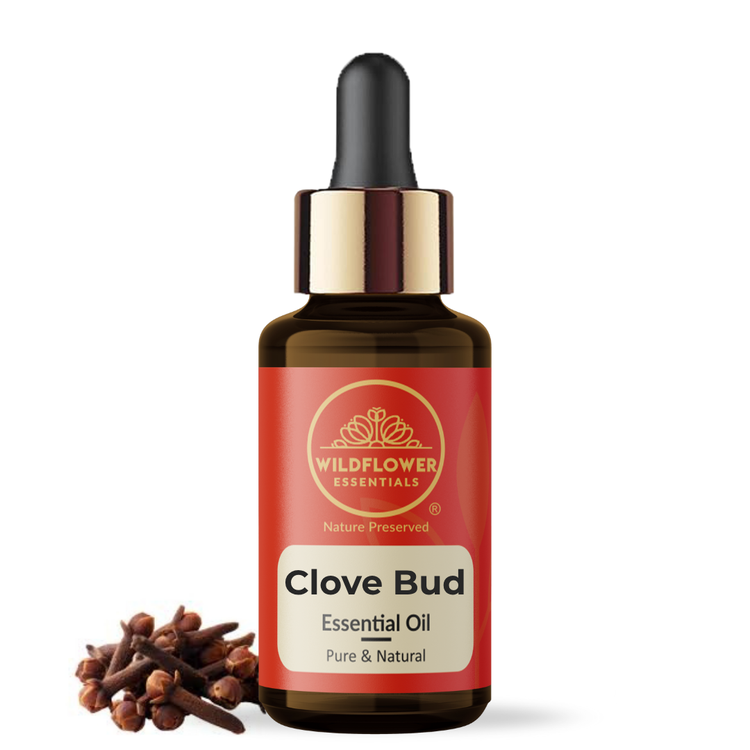 Clove Bud Essential Oil Wildflower Essentials