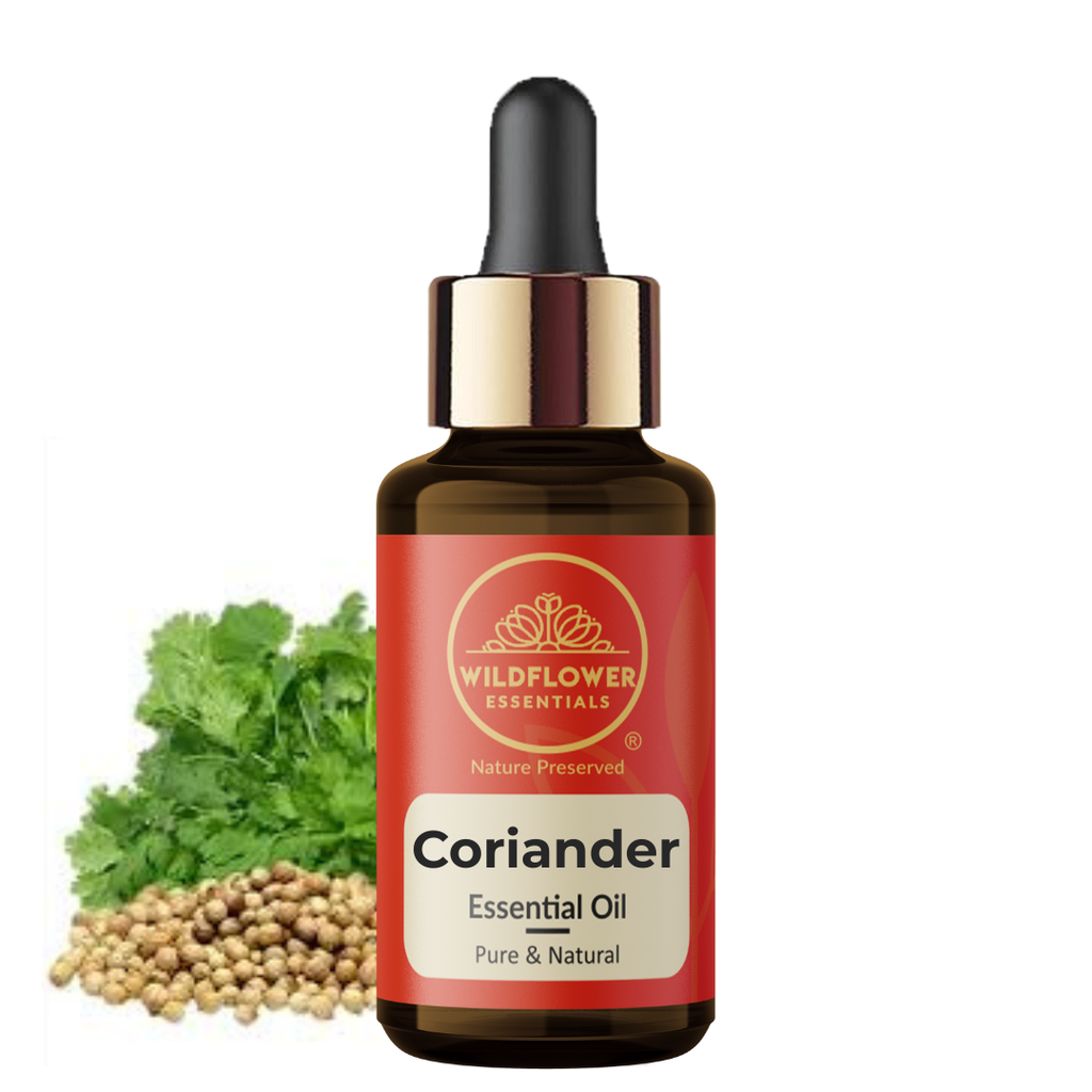 Coriander Essential Oil Wildflower Essentials