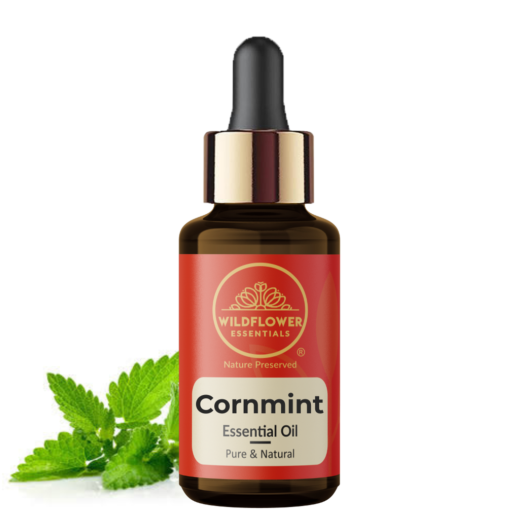 Cornmint Essential Oil Wildflower Essentials