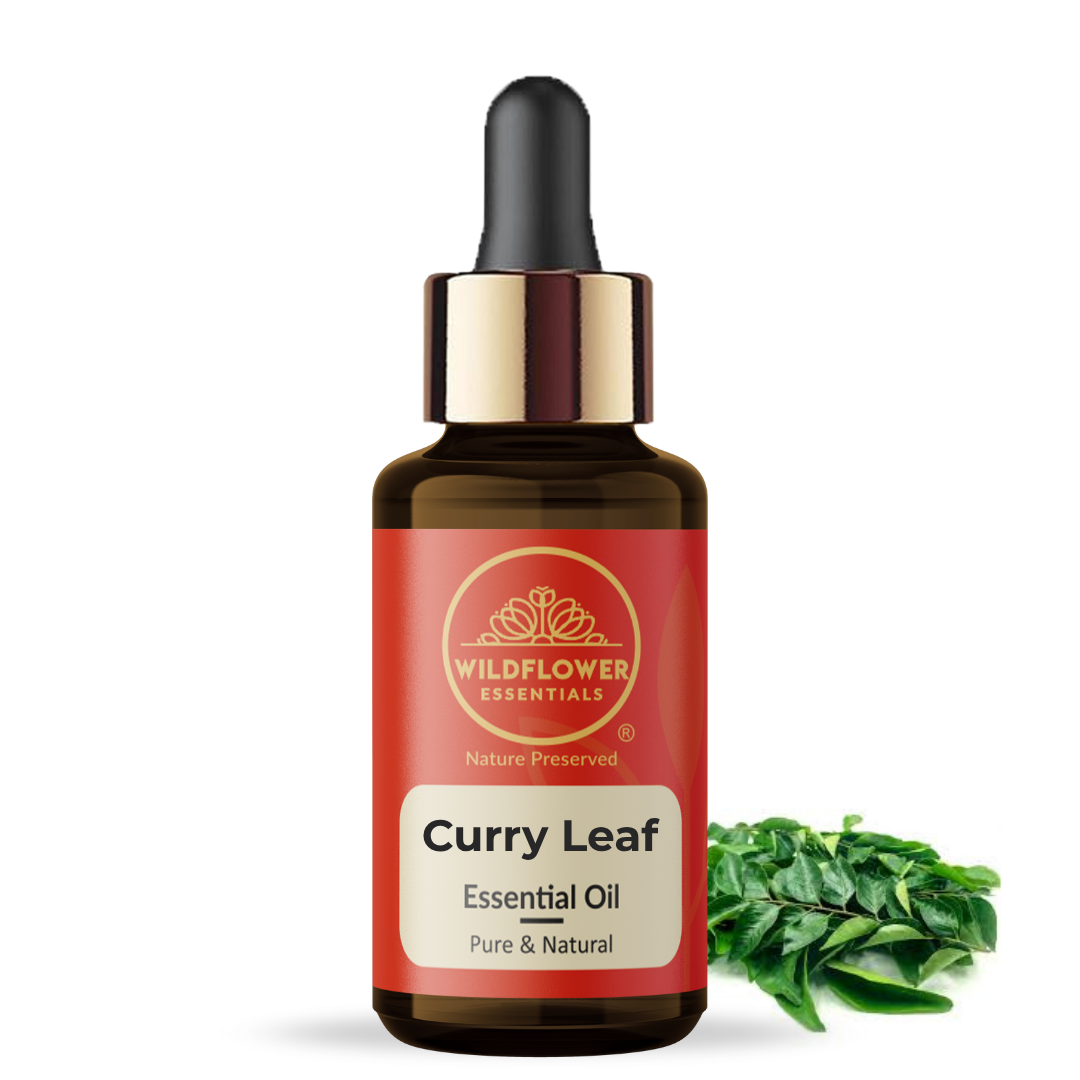 Curry Leaf Essential Oil Wildflower Essentials
