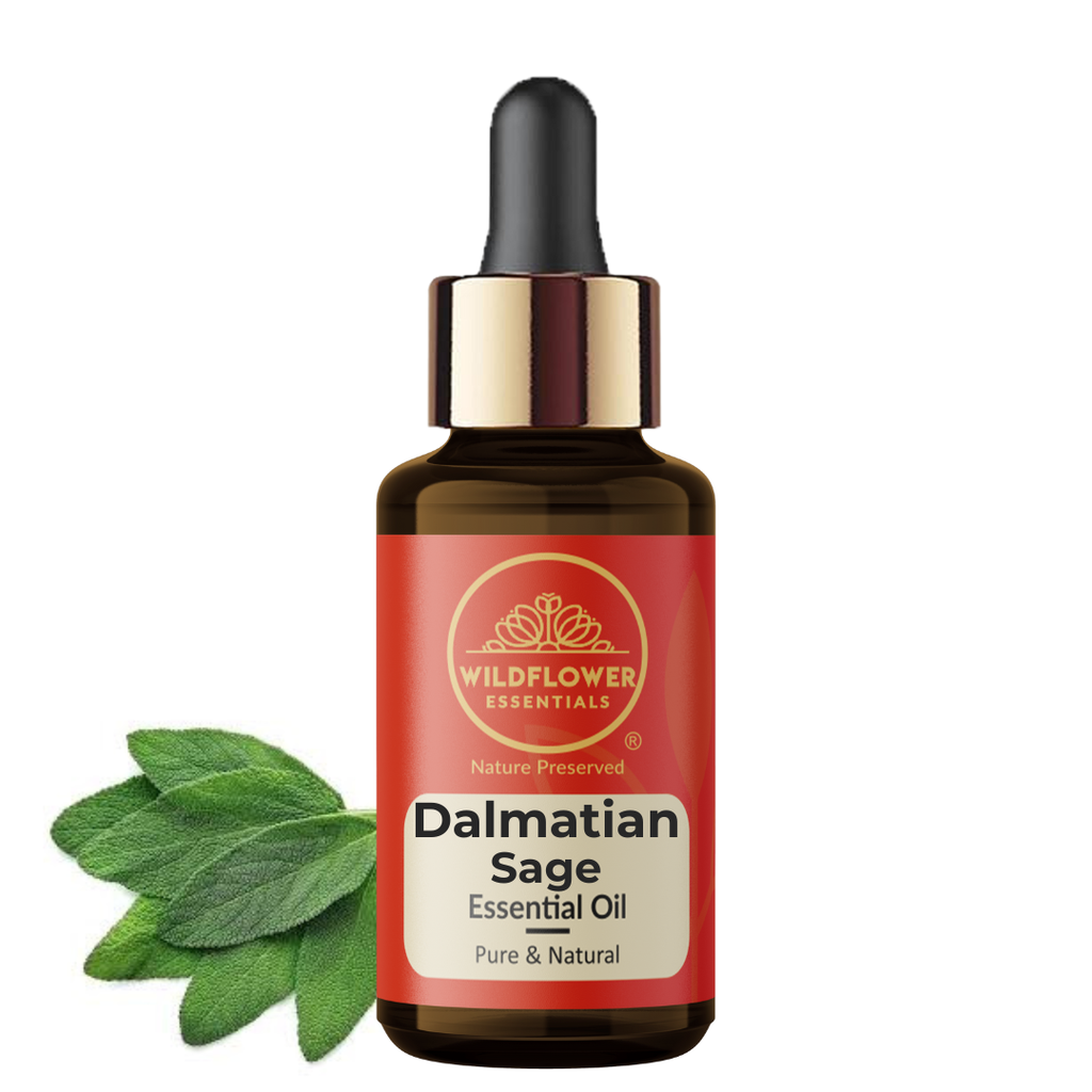 Dalmatian Sage Essential Oil Wildflower Essentials