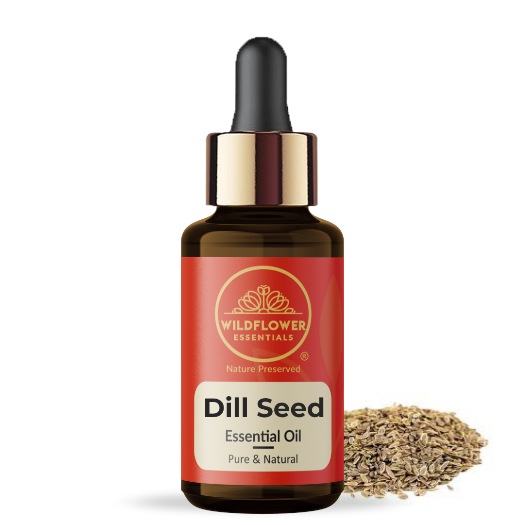 Dill Seed Essential Oil Wildflower Essentials