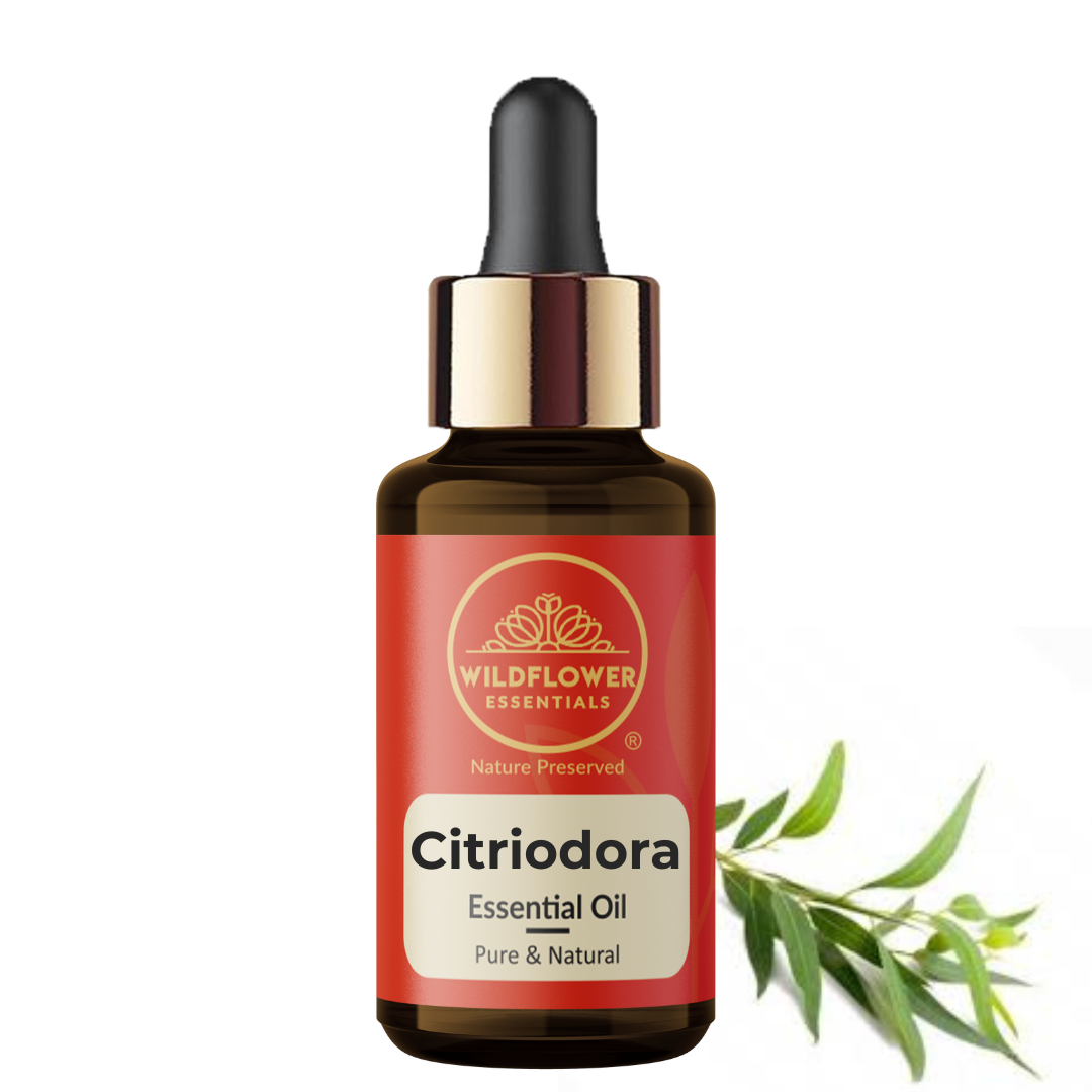 Citriodora Essential Oil Wildflower Essentials