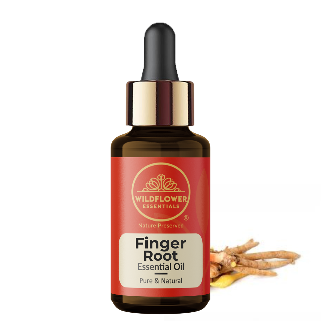 Finger Root Essential Oil Wildflower Essentials