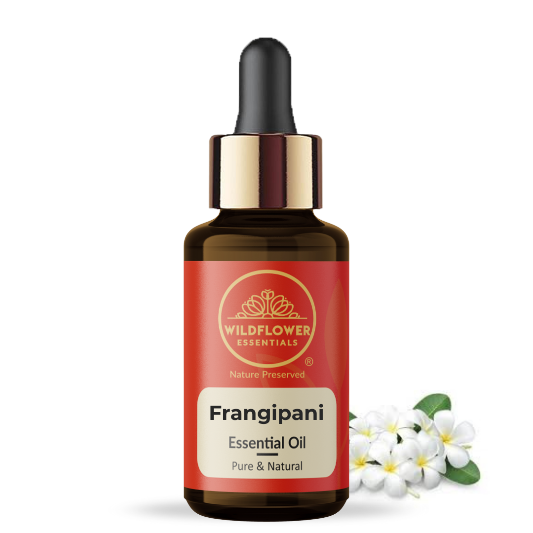 Frangipani Essential Oil Wildflower Essentials