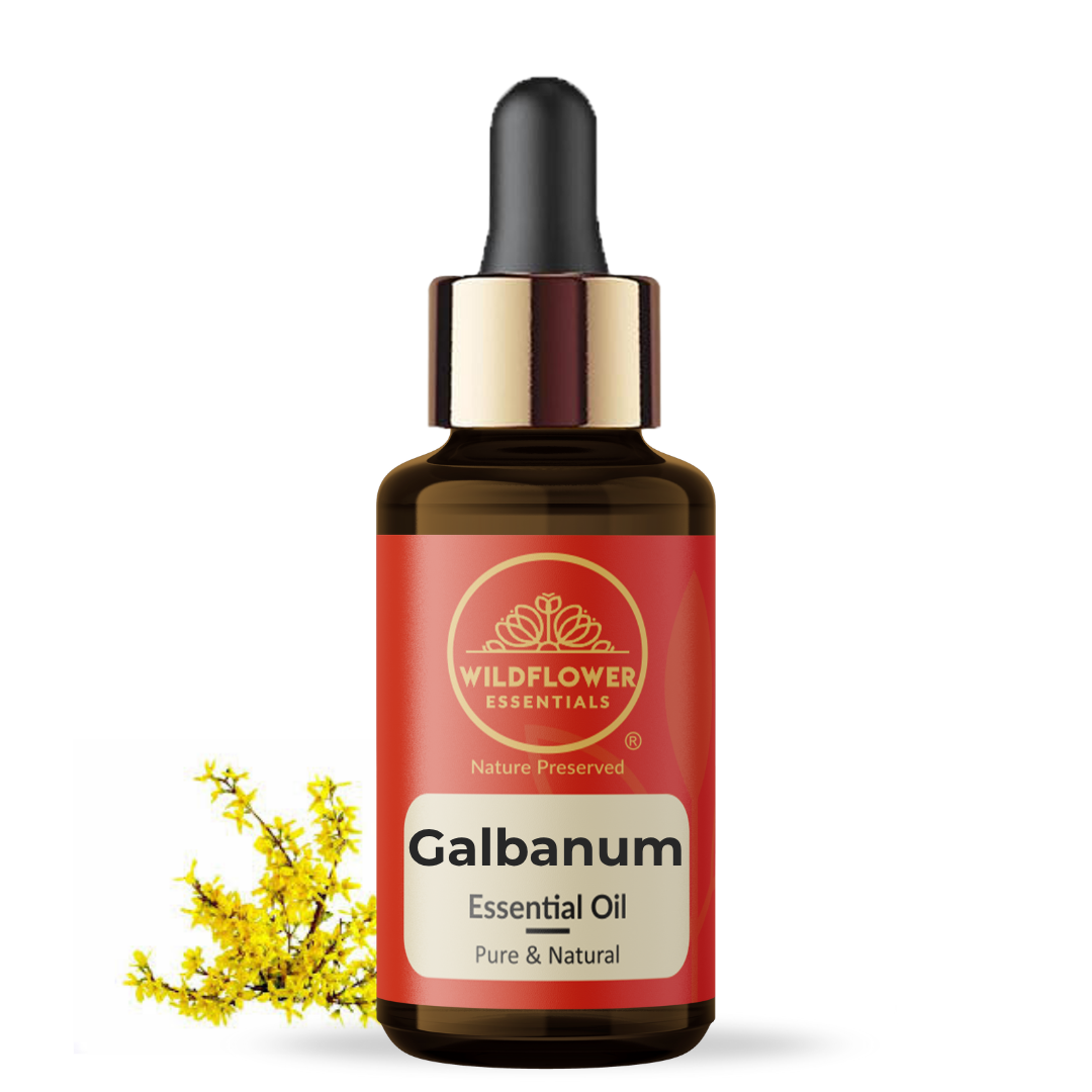 Galbanum Essential Oil Wildflower Essentials