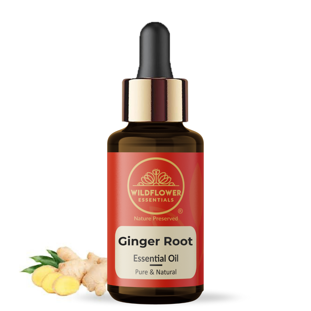 Ginger Root Essential Oil Wildflower Essentials