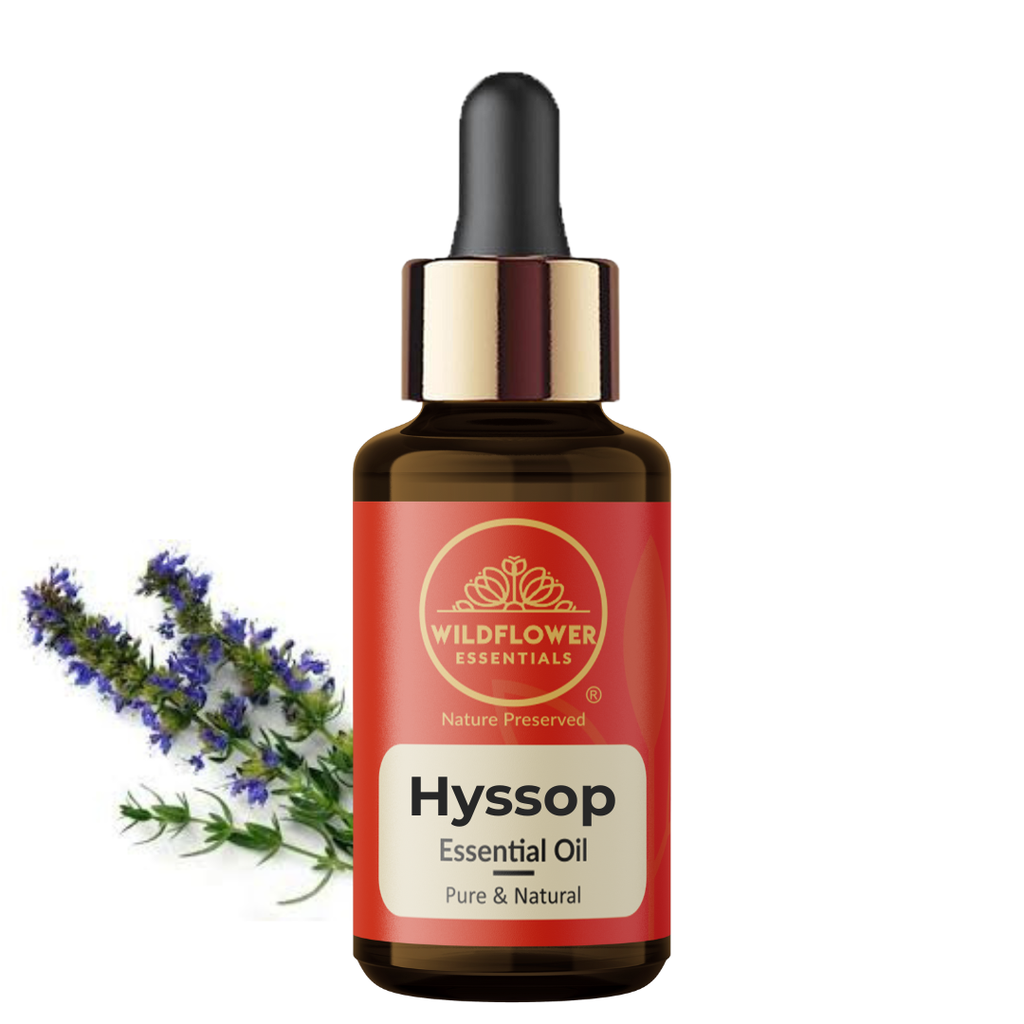 Hyssop Essential Oil Wildflower Essentials