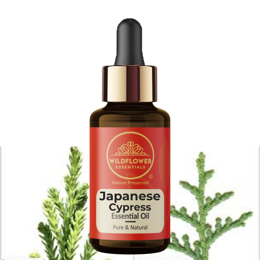 Japanese Cypress Essential Oil Wildflower Essentials