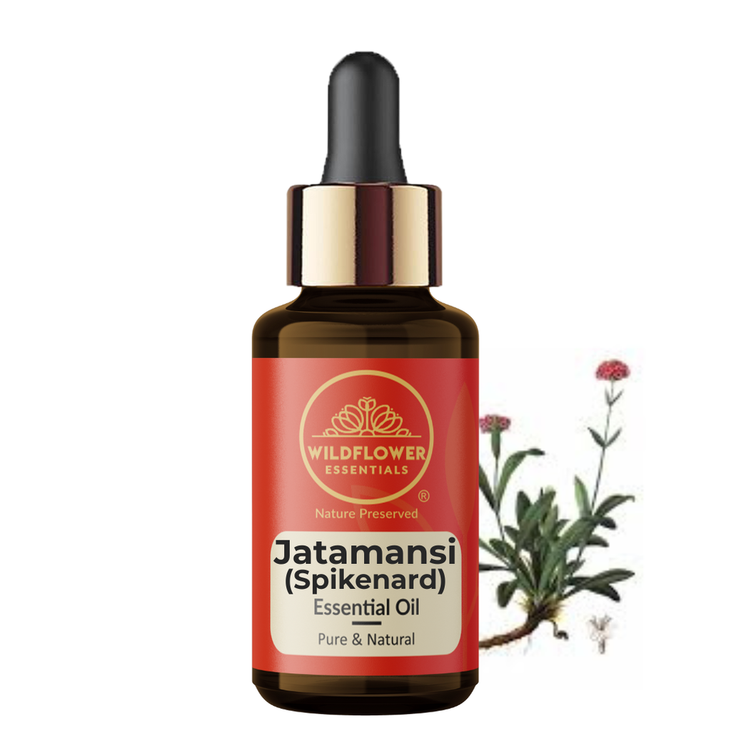 Jatamansi (Spikenard) Essential Oil Wildflower Essentials