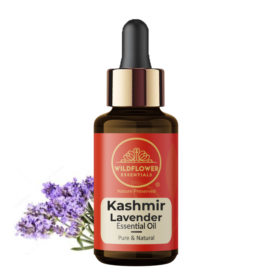 Kashmir Lavender Essential Oil Wildflower Essentials