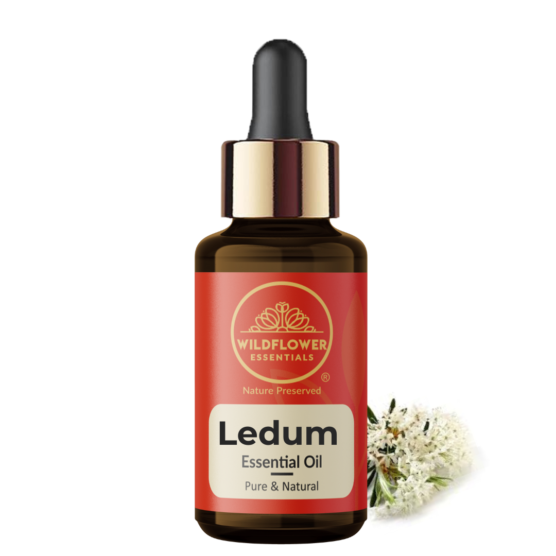 Ledum Essential Oil Wildflower Essentials