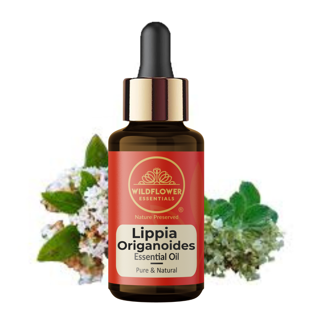 Lippia Origanoides Essential Oil Wildflower Essentials