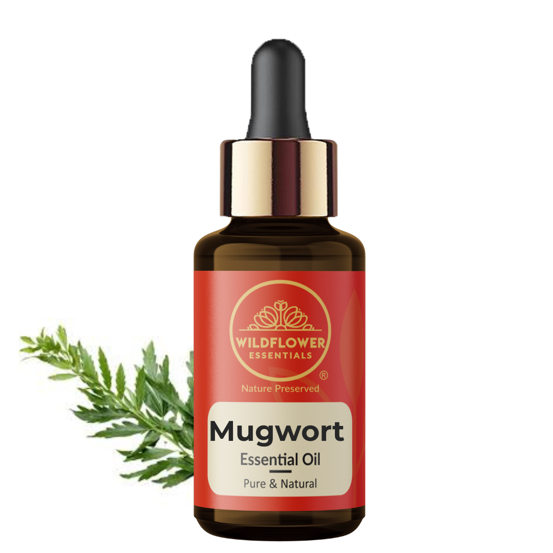 Mugwort Essential Oil Wildflower Essentials