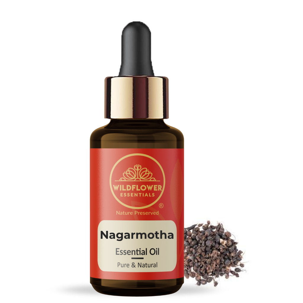 Nagarmotha Essential Oil Wildflower Essentials