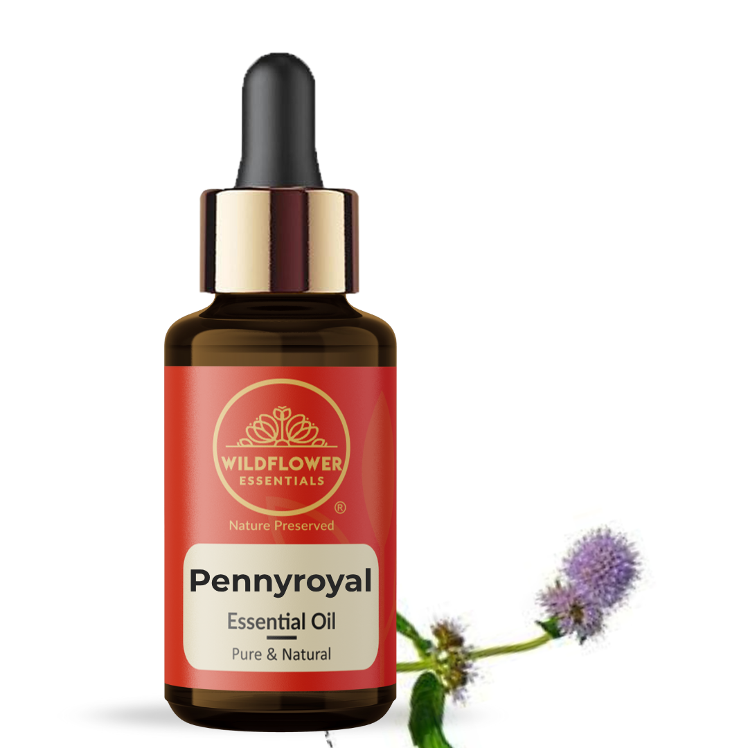 Pennyroyal Essential Oil Wildflower Essentials