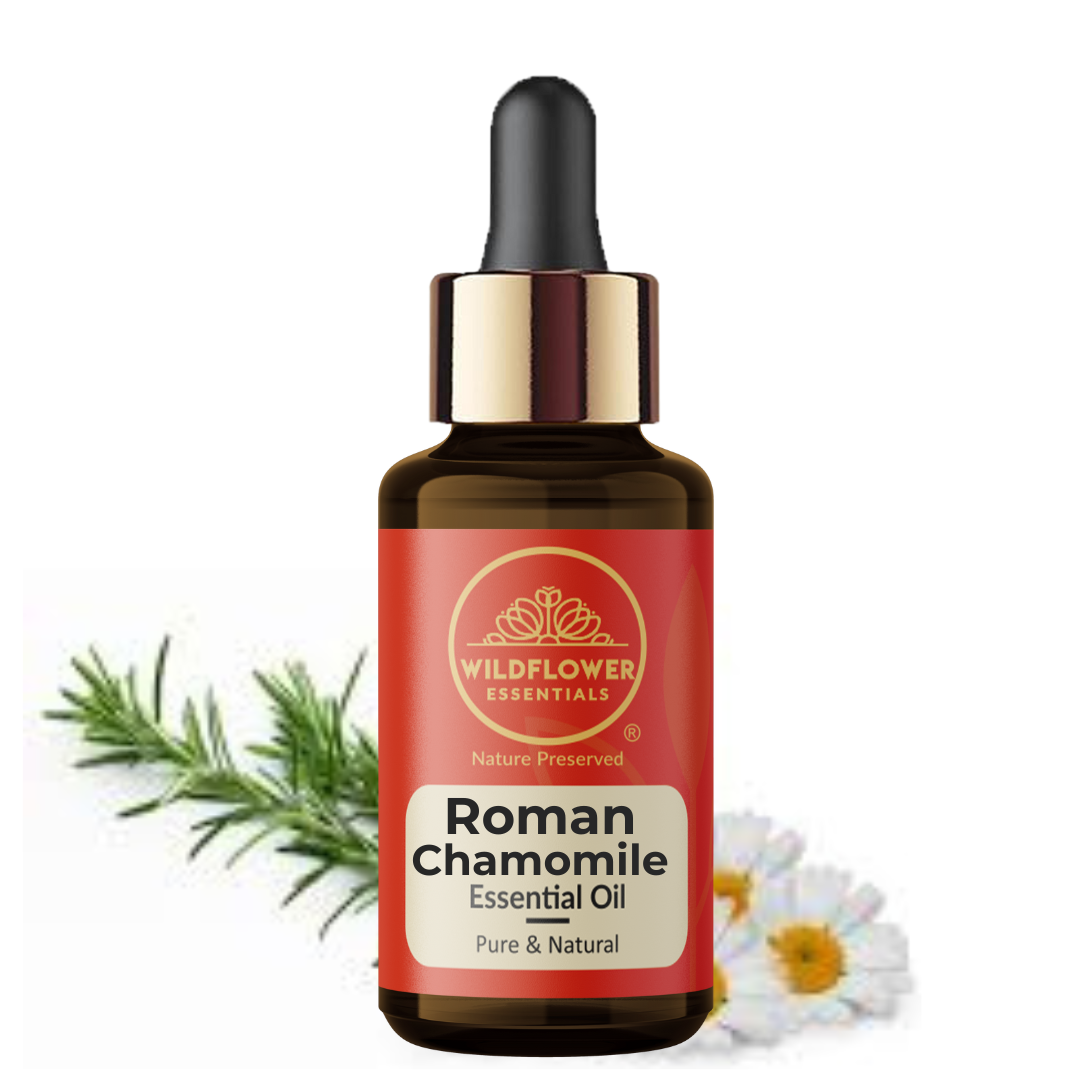Roman Chamomile Essential Oil Wildflower Essentials