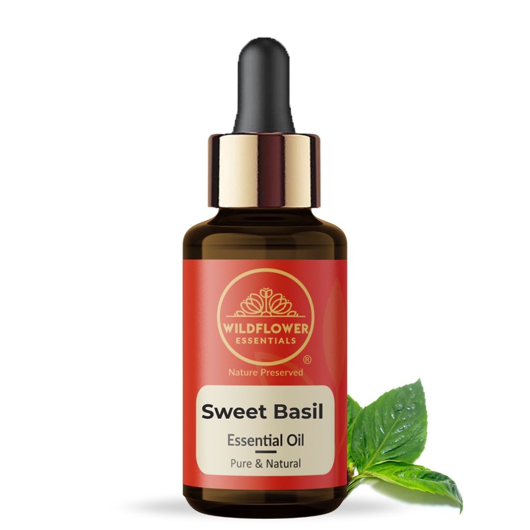Sweet Basil Essential Oil Wildflower Essentials