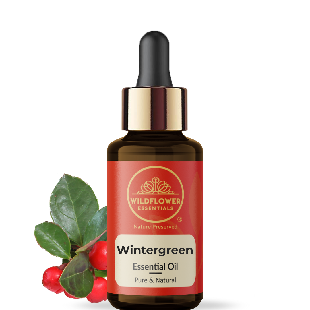 Wintergreen(Gaultheria) Essential Oil Wildflower Essentials